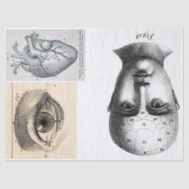 Blad met Junk Journal Anatomy Elements Tissuepapier