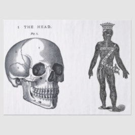 Blad met Junk Journal Anatomy Elements Tissuepapier