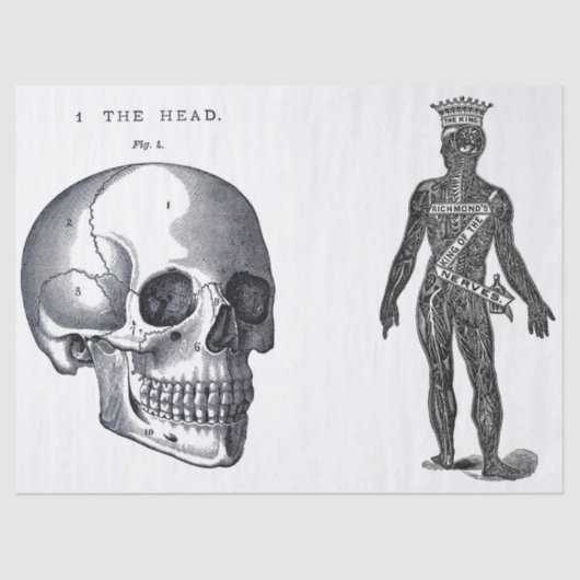 Blad met Junk Journal Anatomy Elements Tissuepapier (Voorkant)
