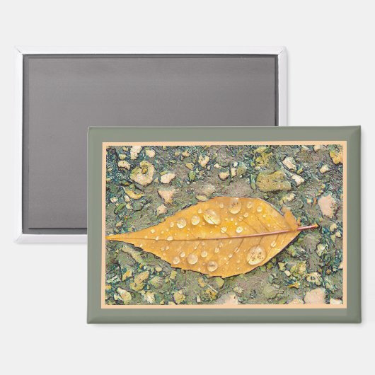 BLAD MET REGENDRUPPELS Magneet (Voorkant / Achterkant)