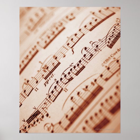 Blad Muziek 5 Poster (Voorkant)