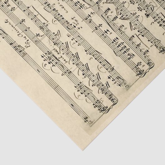 Blad Muziek handgeschreven  perkament Tissuepapier (Detail)