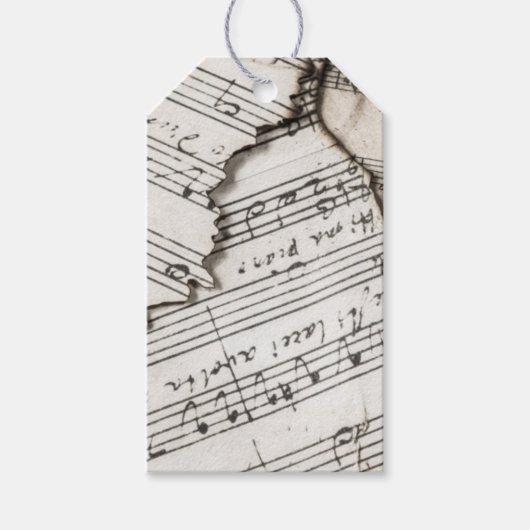 Blad Muzieknoten Custom Gift Label Cadeaulabel (Voorkant)