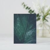 Blad Natuur Foto Briefkaart (Staand voorkant)