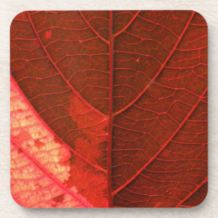 Blad Onderzetter