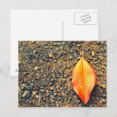 Blad op de grond briefkaart (Voorkant / Achterkant)