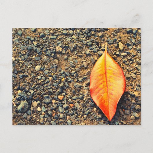 Blad op de grond briefkaart (Voorkant)