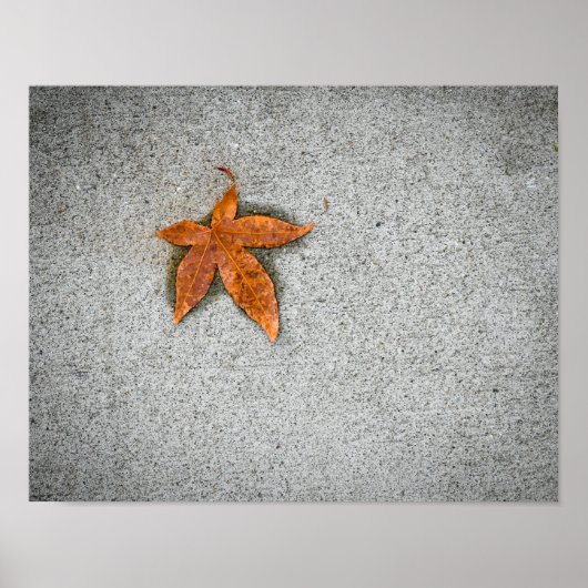 Blad op Trottoir Poster (Voorkant)
