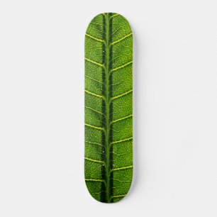 Blad Persoonlijk Skateboard