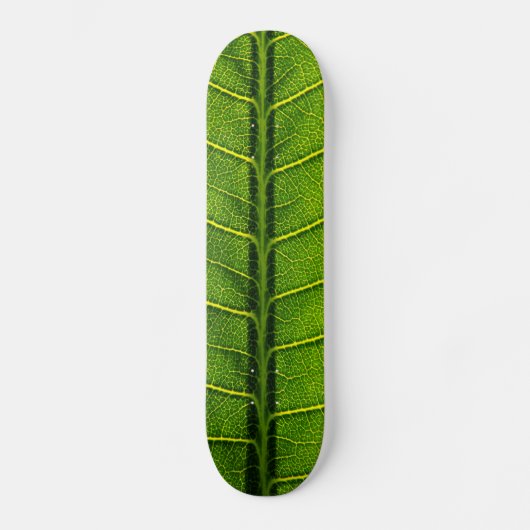 Blad Persoonlijk Skateboard (Voorkant)
