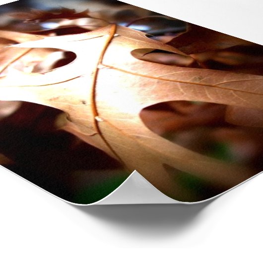 Blad... Poster (Hoek)