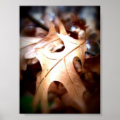 Blad... Poster (Voorkant)