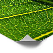 blad poster (Hoek)