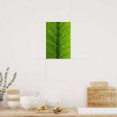 blad poster (Keuken)