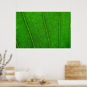 Blad Poster (Keuken)