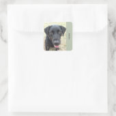 Blad van 20 Black Lab Woof Stickers (Tas)
