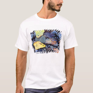 Blad van Fremont cottonwood op overstromingsvlakte T-shirt