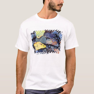 Blad van Fremont cottonwood op overstromingsvlakte T-shirt