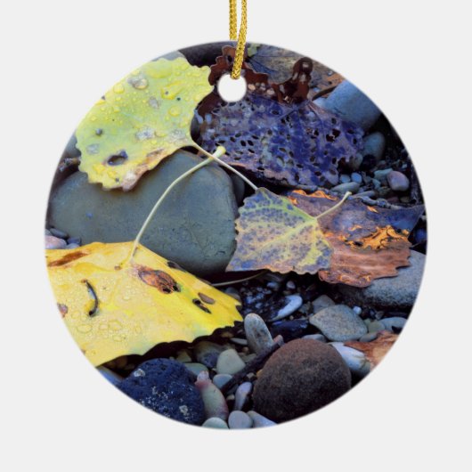 Blad van Fremont-katoenhout op de overstroming in Keramisch Ornament (Voorkant)