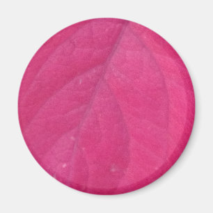 blad van Paarse Herfst Magneet
