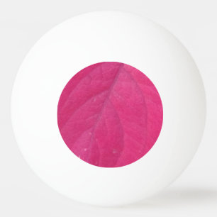 blad van Paarse Herfst Pingpongbal