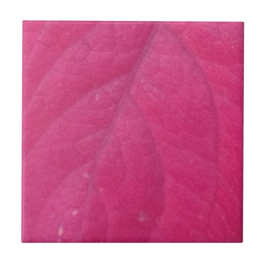 blad van Paarse Herfst Tegeltje (Voorkant)