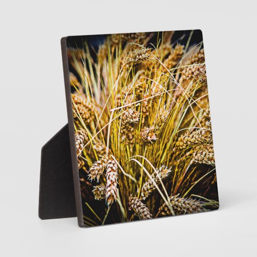 Blad van tarwe - Hartelijk dank Fotoplaat (Voorkant)