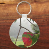 blad wordt rood Herfst in Florida Sleutelhanger (Voorkant)