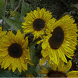 bladachtergrond met grote gele zonnebloemen legpuzzel