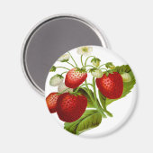 Bladbladblad voor levensmiddelen magneet (Voorkant / Achterkant)