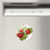 Bladbladblad voor levensmiddelen magneet (Insitu (Vaatwasser))