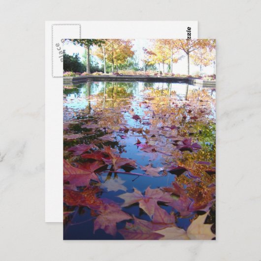 Bladbladeren Briefkaart (Voorkant / Achterkant)