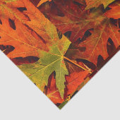 Bladbladeren Tissuepapier (Detail)