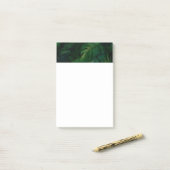 Bladbladeren van tropisch regenwoud post-it® notes (Op bureau)