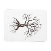 Bladboom Magneet (Horizontaal)