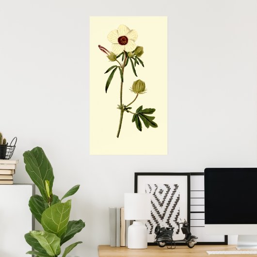 Bladder Hibiscus, Venice Mallow Poster (Thuiskantoor)