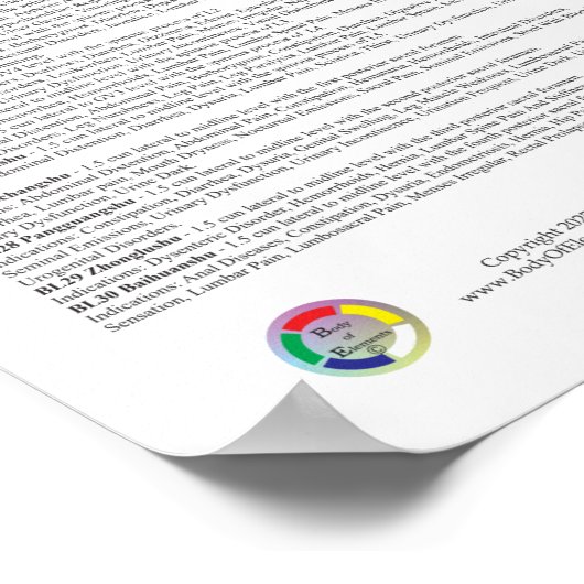 Bladder Meridian Acupuncture Points Poster (Hoek)
