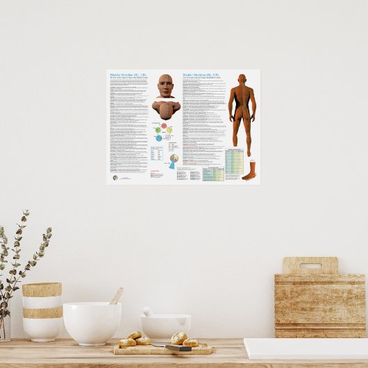 Bladder Meridian Acupuncture Points Poster (Keuken)