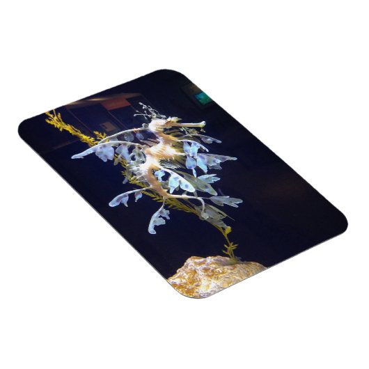 bladdraakmagneet magneet (Rechterzijde)