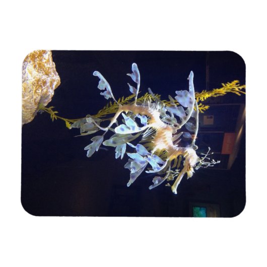 bladdraakmagneet magneet (Horizontaal)