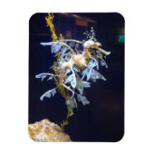 bladdraakmagneet magneet (Verticaal)