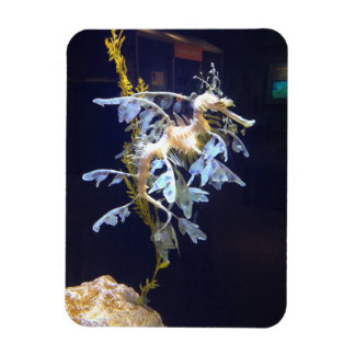 bladdraakmagneet magneet