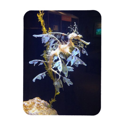 bladdraakmagneet magneet (Verticaal)