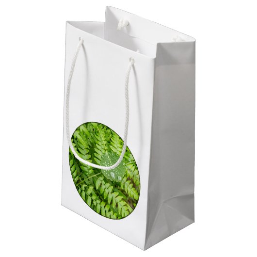 Bladdruppels Klein Cadeauzakje (Achterkant Gekanteld)