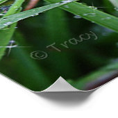 Blade Runner Poster (Hoek)