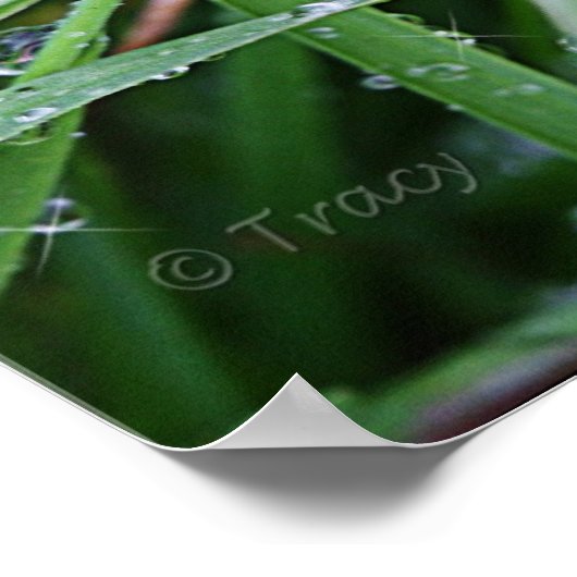 Blade Runner Poster (Hoek)