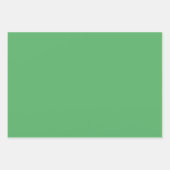 Bladen met groene lederafdruk inpakpapier vel (Voorkant 2)