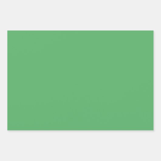 Bladen met groene lederafdruk inpakpapier vel (Voorkant 2)