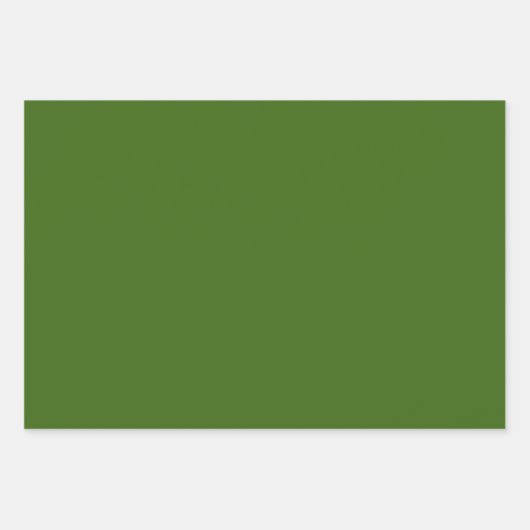 Bladen met groene zwarte goudwappers inpakpapier vel (Voorkant 2)