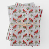 Bladen van winterkardinalen en inpakpapier (In situ)